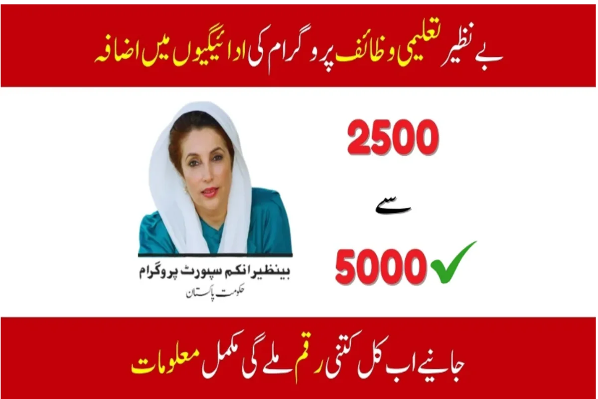Benazir Educational Stipends: You Need to Know