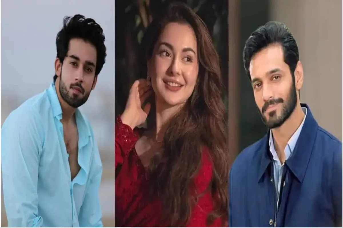 What’s behind the buzz? Pak drama Meri Zindagi Hai Tu went viral