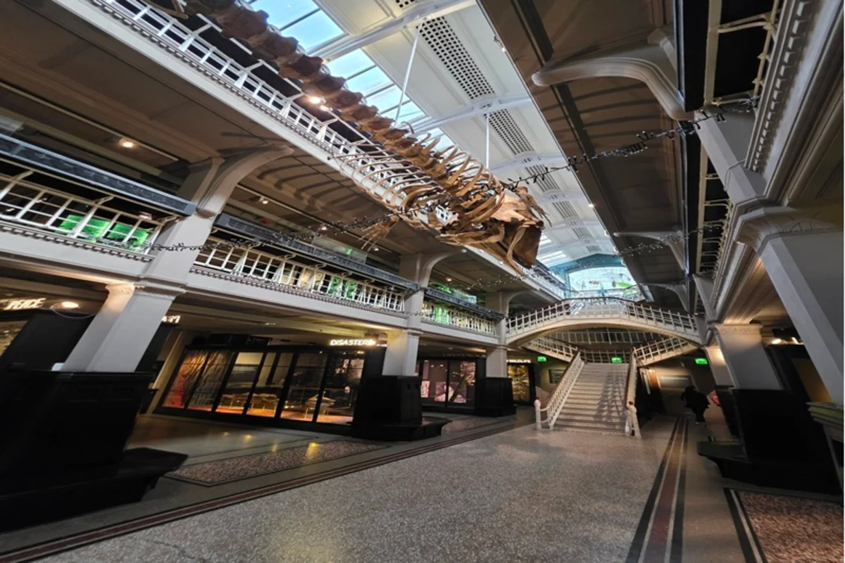 Things to Know Before Visiting Manchester Museum in 2025 — Hours, Tickets, Exhibitions and Tips