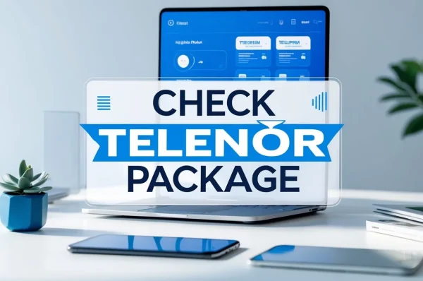 Check Telenor Package
