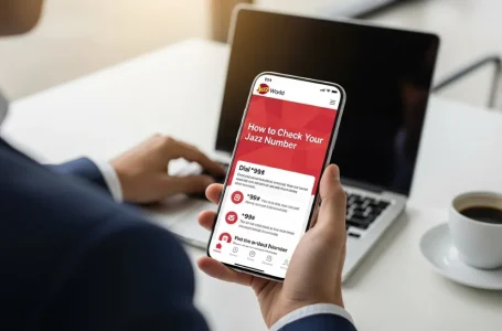 How to Check My Jazz Number