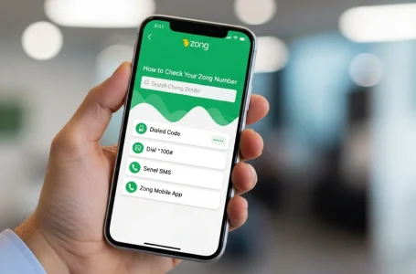 How to Check Your Zong Number