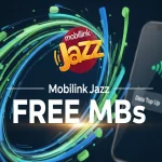 how to check jazz mb