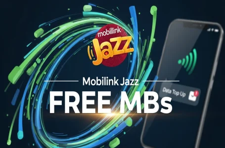 how to check jazz mb