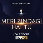 Drama Fans Alert: Meri Zindagi Hai Tu New Episode Today