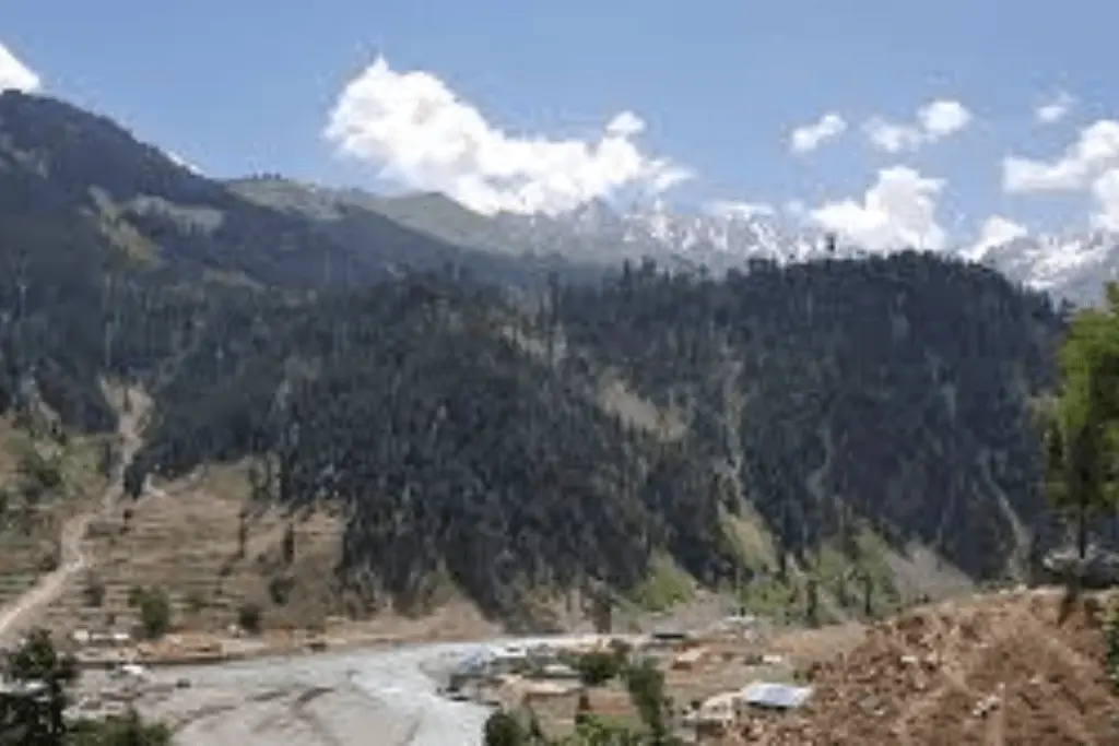 How to visit Kalam Forest from Swat Valley