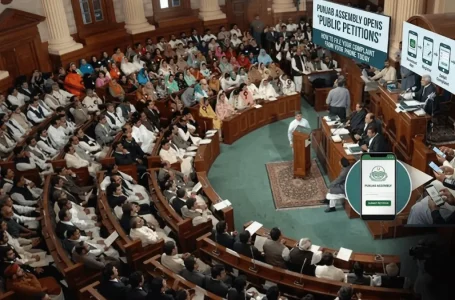 Punjab Assembly public petition system