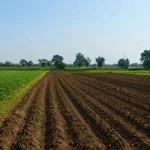 Apna Khet Apna Rozgar Scheme