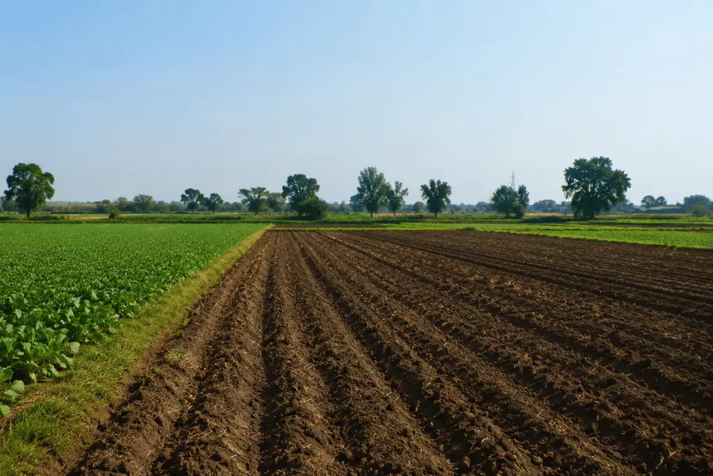Apna Khet Apna Rozgar Scheme