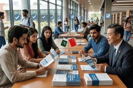 Chinese Ambassador Scholarship Pakistan