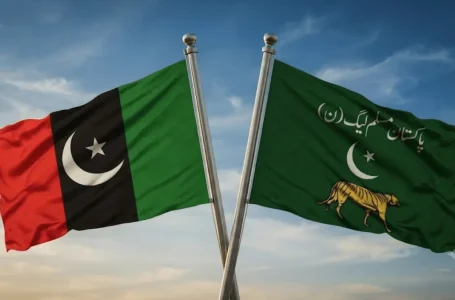PPP Punjab opposition