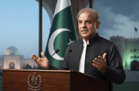 Pakistan peace policy