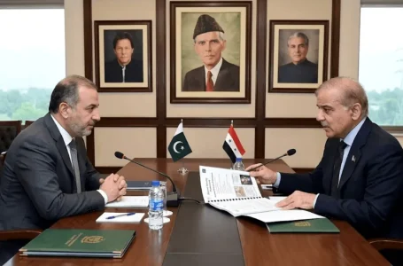 Pakistan Syria relations