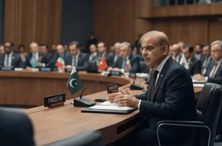 Pakistan UN Security Council