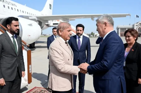 Pakistan Prime Minister Shehbaz Sharif
