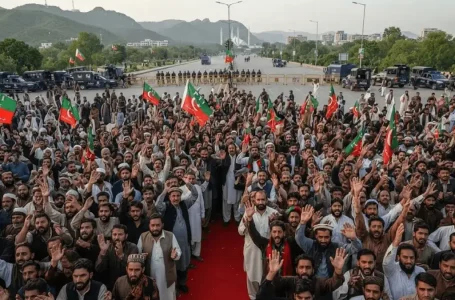 Pakistan government protests