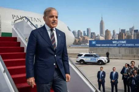 PM Shehbaz Sharif