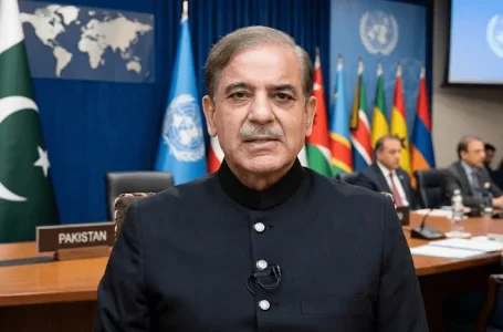 Pakistan UN Charter