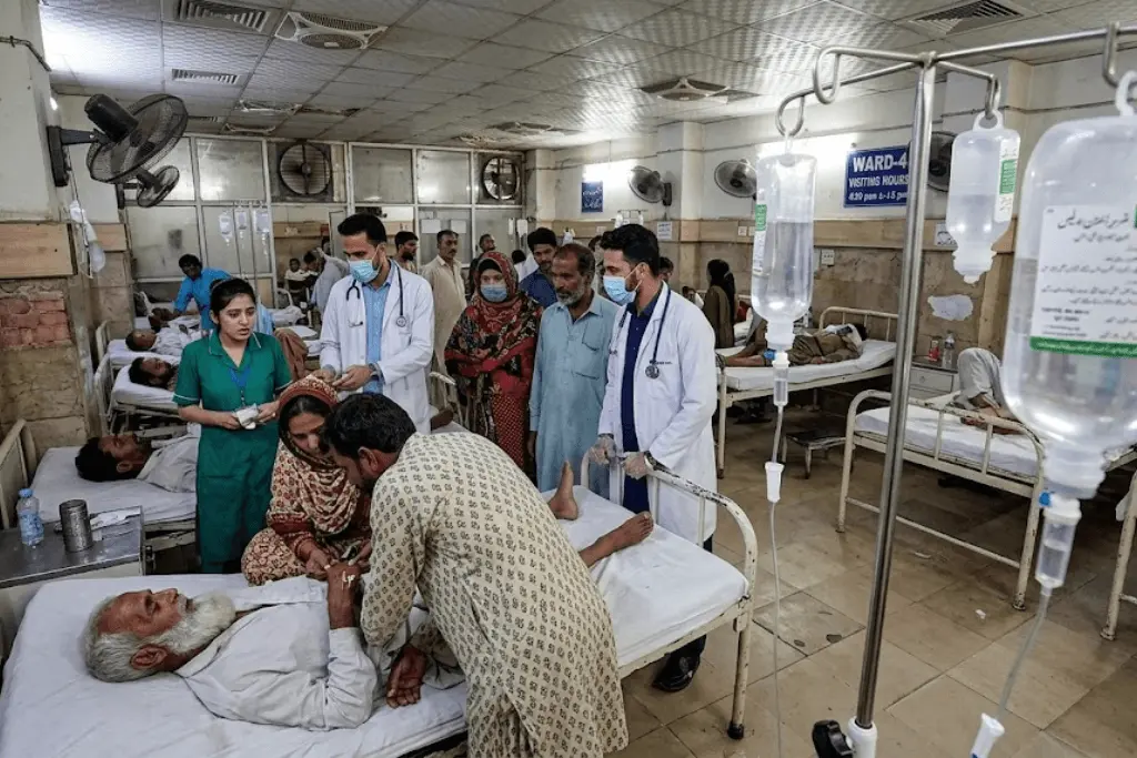 Pakistan health system