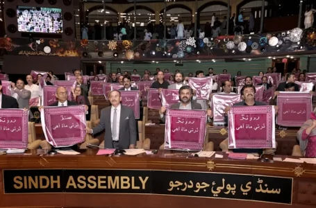 Sindh Assembly