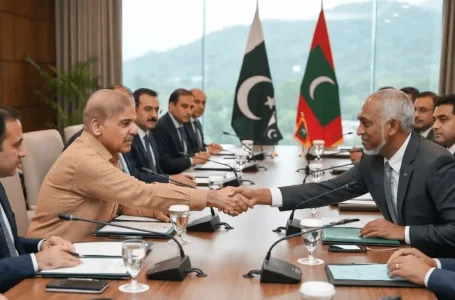 Pakistan Maldives relations