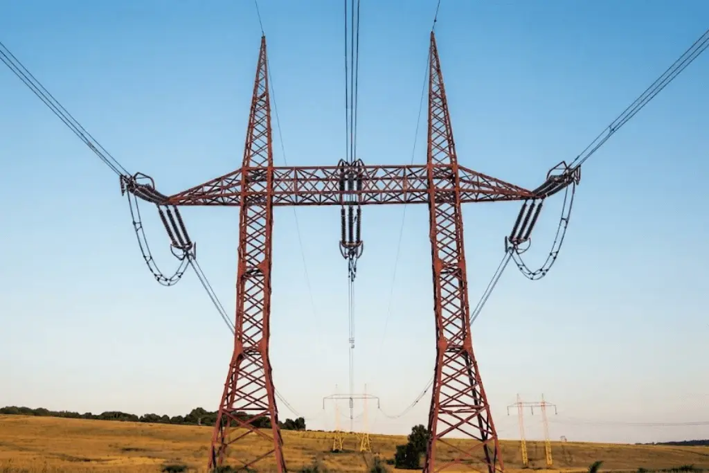 Pakistan electricity subsidy