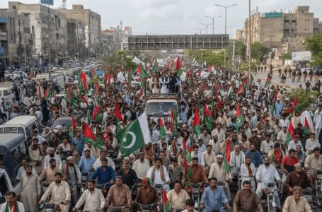 MQM-P new provinces