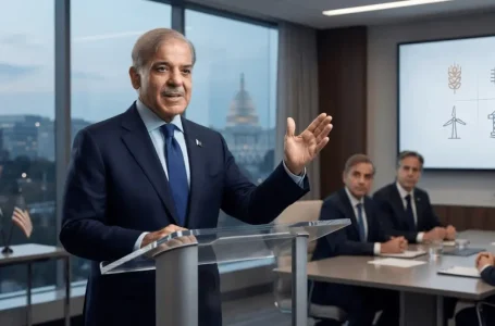 Shehbaz Sharif US investment