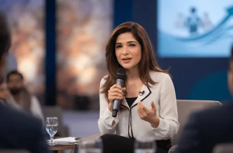 Ayesha Omar feminism