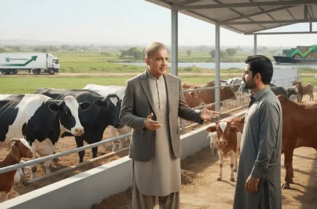 Pakistan livestock exports